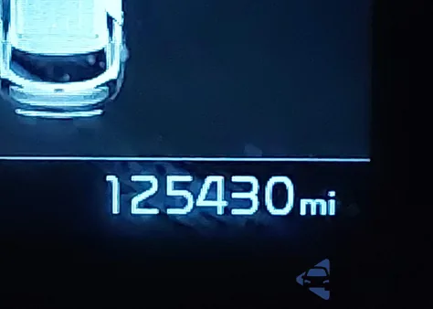 2021 Kia Telluride S z USA, uszkodzony, nr VIN 5XYP64HC9MG098819